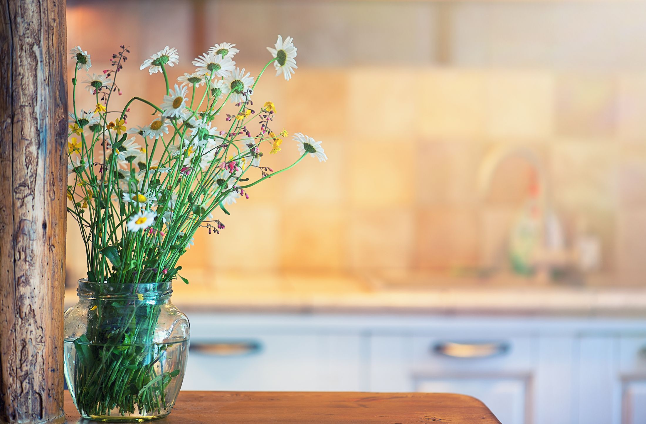 CHAMOMILE VASE KITCHEN-1